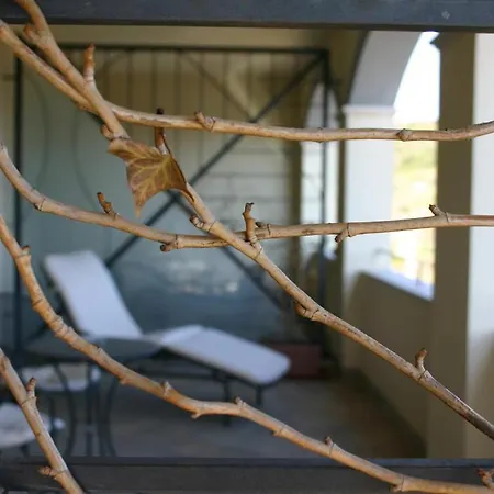 Terre D'orcia 세지아노